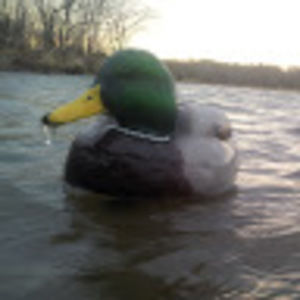 Meet your Posher, Cory